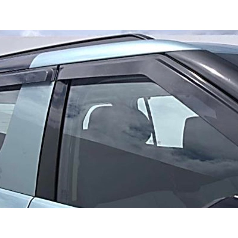 Door Visor